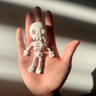 Esqueleto Articulado Flexível