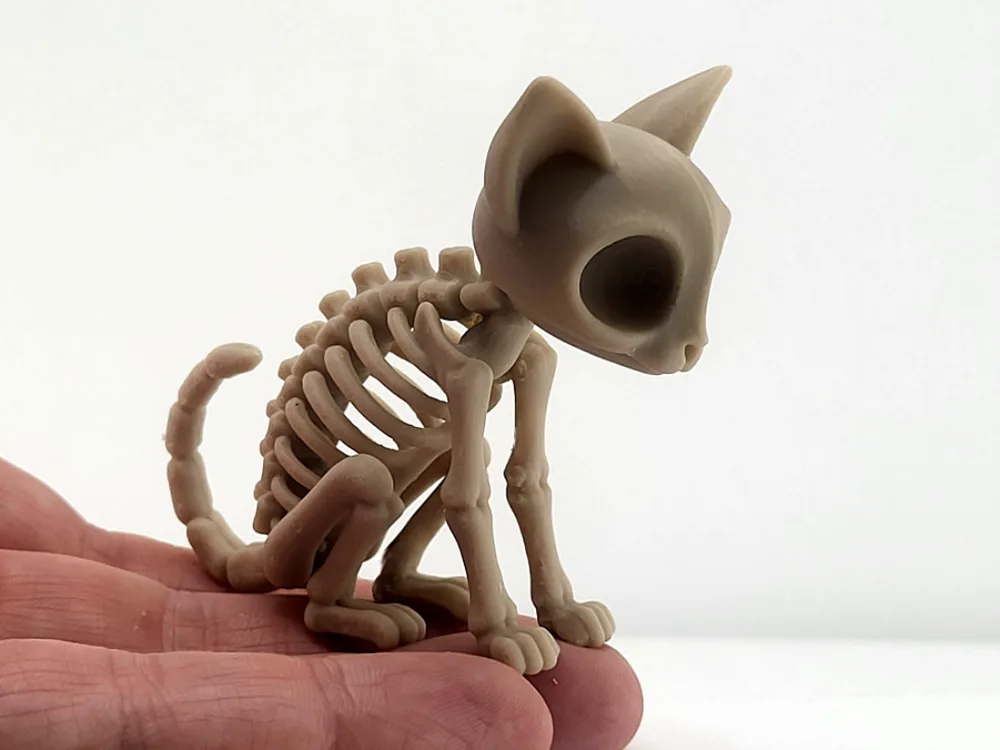 Gatinho Esqueleto Kawaii