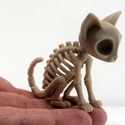 Gatinho Esqueleto Kawaii