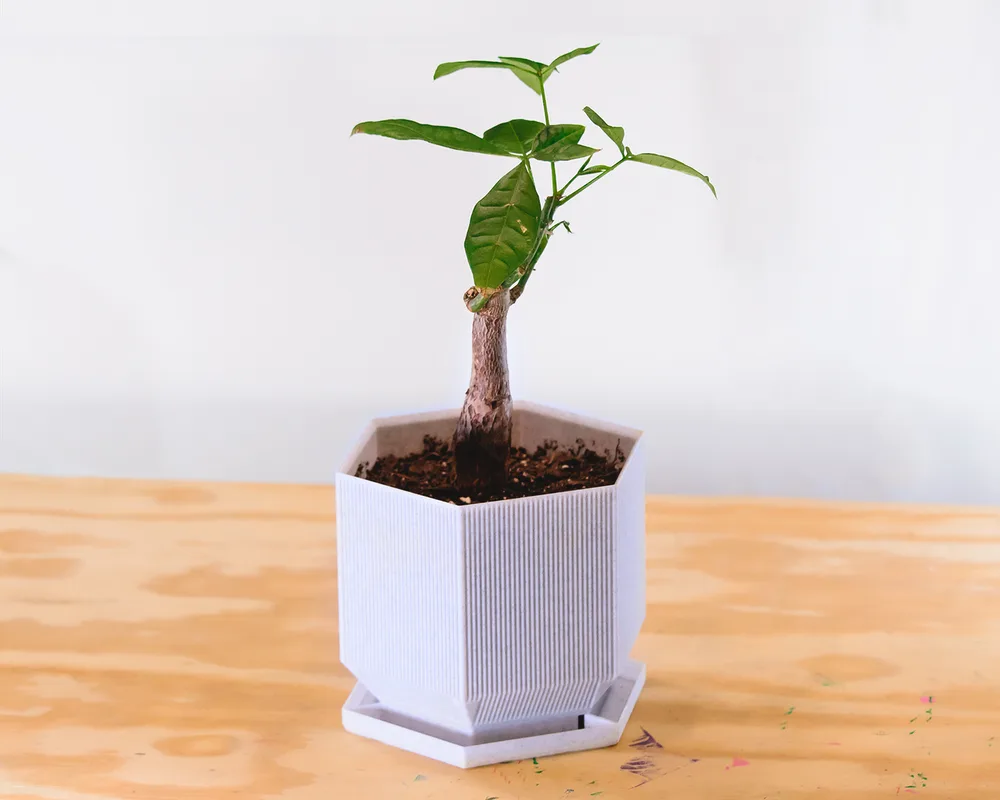 Vaso hexagonal