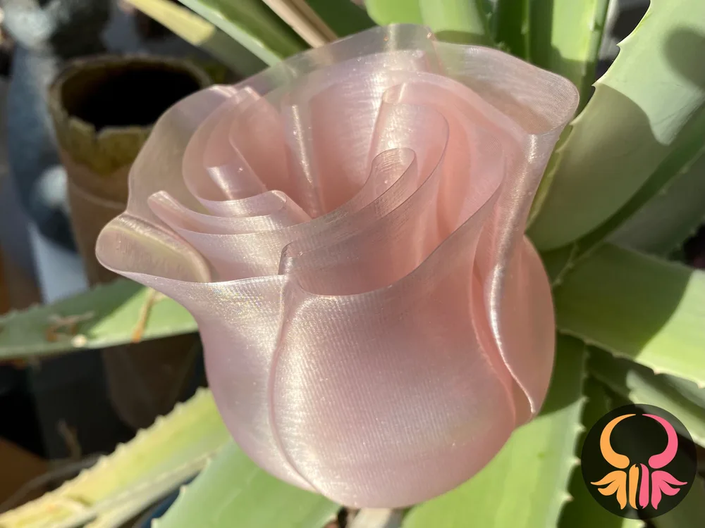 Vaso Rosa em espiral