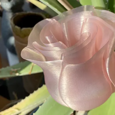 Vaso Rosa em espiral