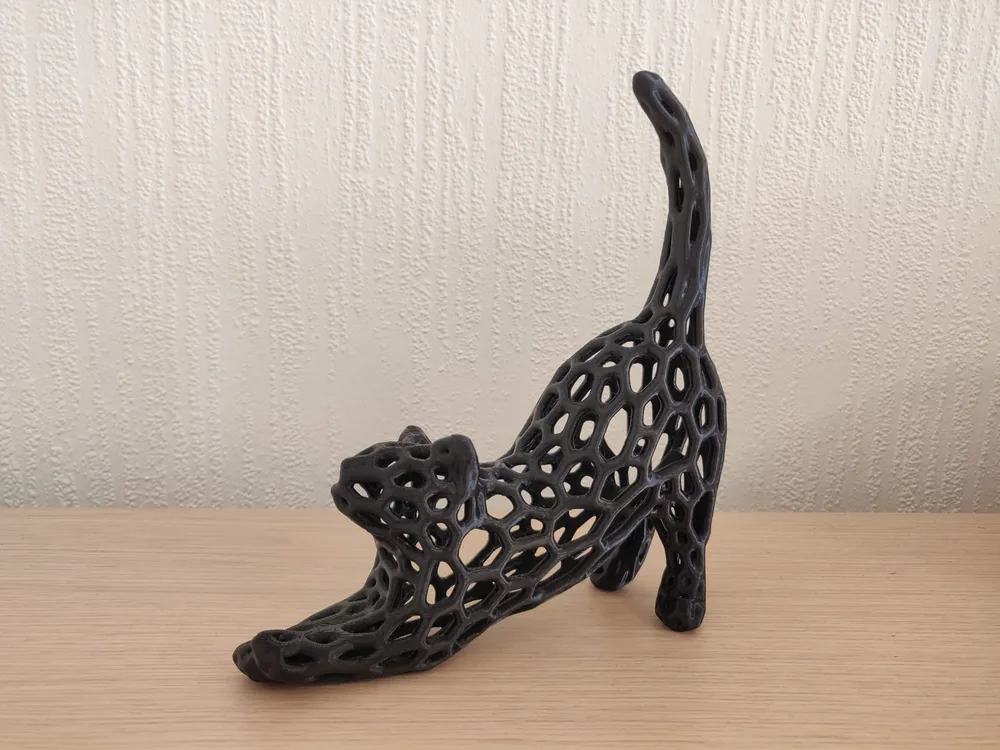 Gato a espreguiçar (Voronoi)