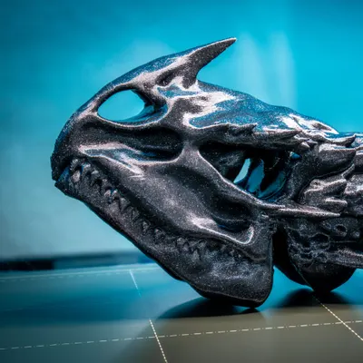 Caveira de dragão