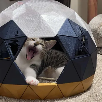 Casa geodésica para gatos